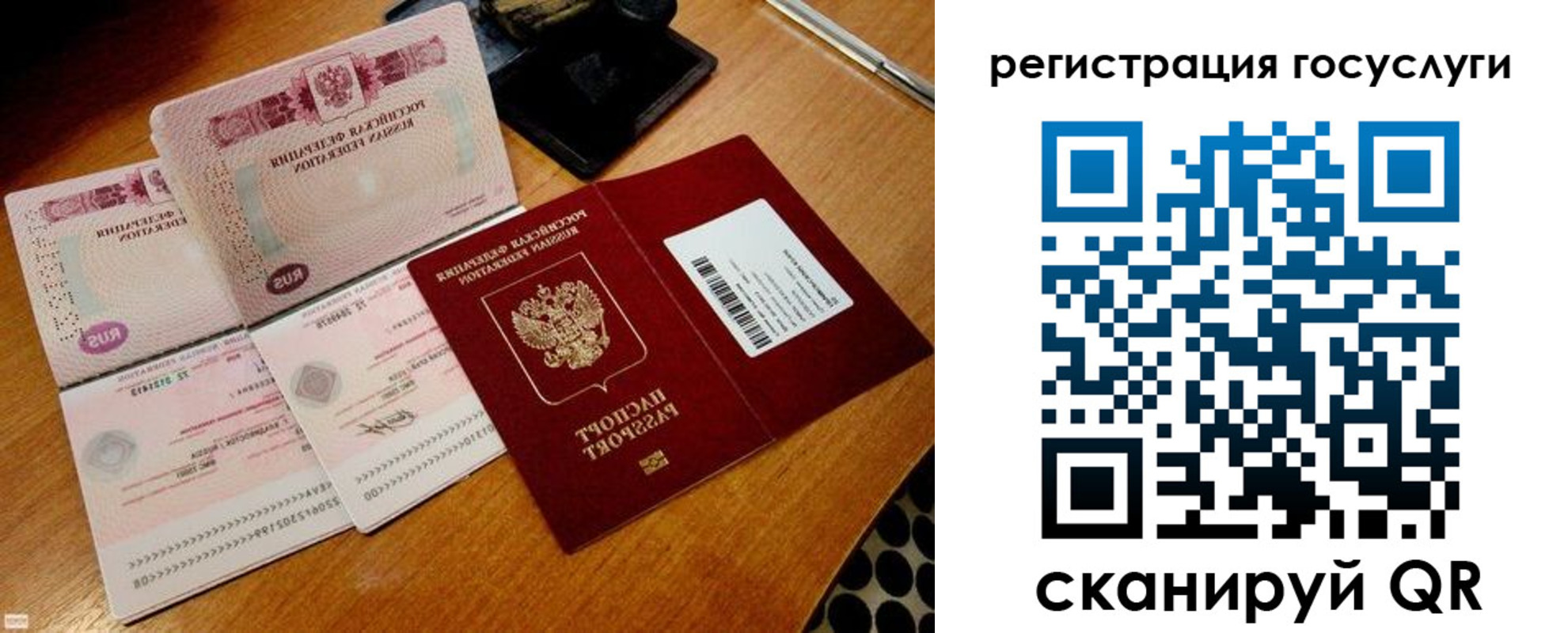 регистрация для дет. сада в Дмитрове